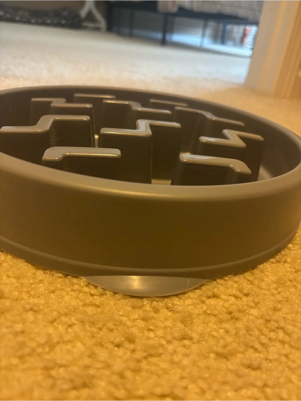 Outward Hound slow feed